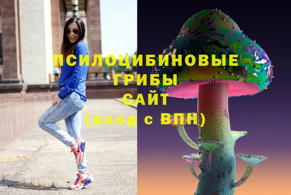 стафф Арсеньев