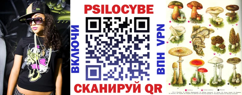 Псилоцибиновые грибы Psilocybe  где продают   Олонец 